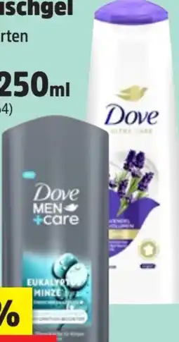 Thomas Philipps Dove Men+ Care Eukalyptus Minze Angebot