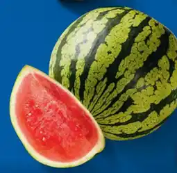 Lidl Wassermelone Angebot