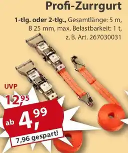 Sonderpreis Baumarkt Profi-Zurrgurt Angebot