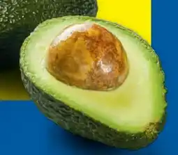 Lidl Avocado Angebot