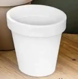 Ostermann Pflanztopf Gardino Angebot