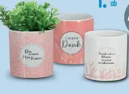 Ostermann Pflanztopf Sprüche Angebot