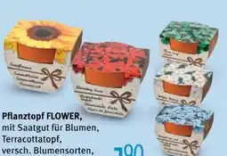 Ostermann Pflanztopf Flower Angebot