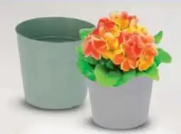 Ostermann Pflanzgefäß Scandi Angebot