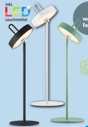 Ostermann Tischleuchte Amag LED Angebot