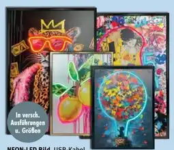 Ostermann Neon-led Bild Angebot
