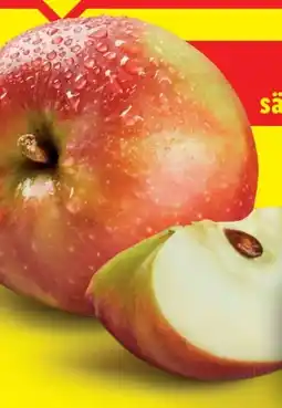 Lidl Äpfel Angebot