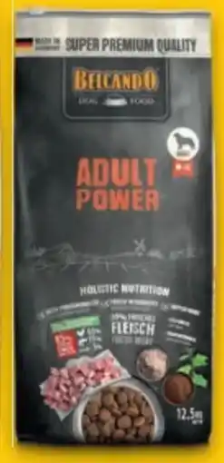 Das Futterhaus Belcando Hunde Adult Power Angebot