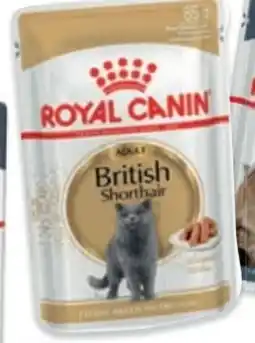 Das Futterhaus Royal Canin British Shorthair Adult Gravy Angebot