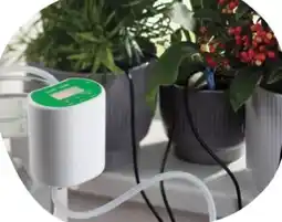 Rossmann Rossmann Ideen Welt Indoor Bewässerungssystem Angebot