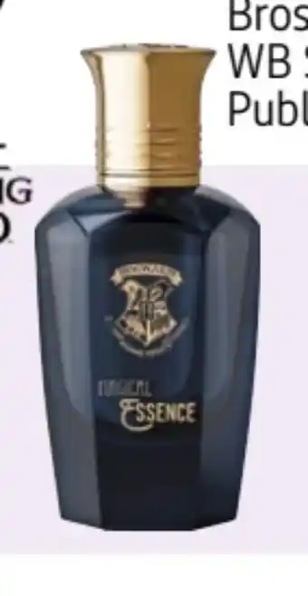 Rossmann Wizarding World Man EdP Angebot