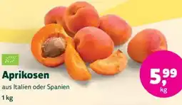 Biomarkt Aprikosen Angebot
