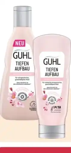 Rossmann Guhl Shampoo Angebot