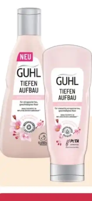 Rossmann Guhl Shampoo Angebot