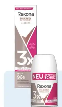 Rossmann Rexona Maximum Protection Deospray Angebot