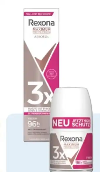 Rossmann Rexona Maximum Protection Deospray Angebot