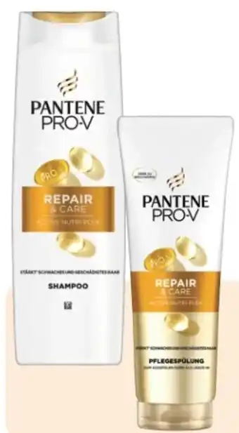 Rossmann Pantene Pro-V Shampoo Angebot