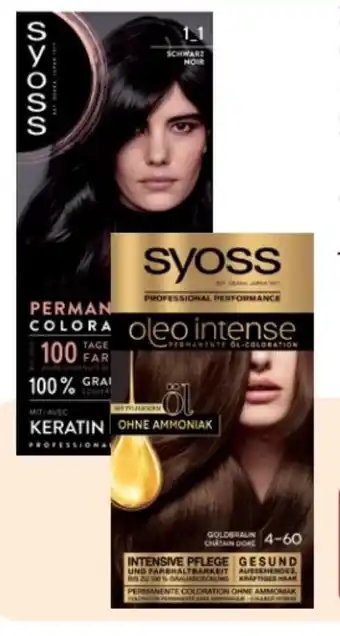 Rossmann Syoss Coloration Angebot