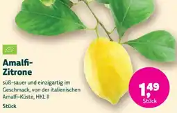 Biomarkt Amalfi Zitrone Angebot