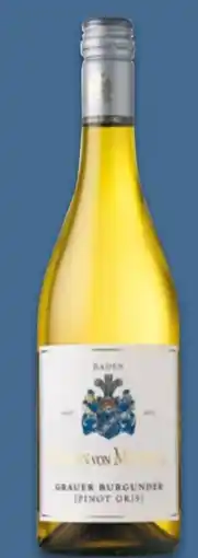 NETTO Baron von Maydell Grauer Burgunder Angebot