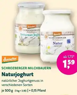 Biomarkt demeter SCHROZBERGER MILCHBAUERN Naturjoghurt Angebot