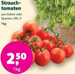 Biomarkt Strauchtomaten Angebot