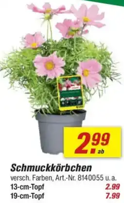toom Baumarkt Schmuckkörbchen Angebot