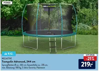 Aldi Süd Wellactive Trampolin Advanced 244 cm Angebot