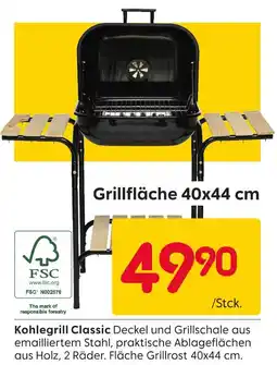 Rusta Fsc kohlegrill classic Angebot