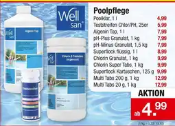 Zimmermann Well san poolpflege Angebot