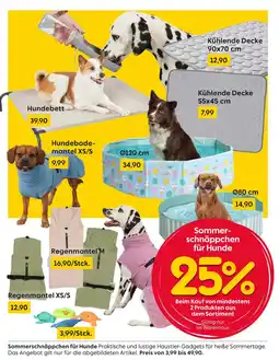 Rusta Sommerschnäppchen für hunde Angebot