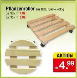 Zimmermann Pflanzenroller Angebot
