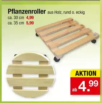 Zimmermann Pflanzenroller Angebot