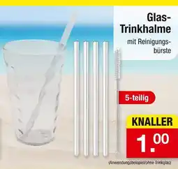 Zimmermann Glas-trinkhalme Angebot