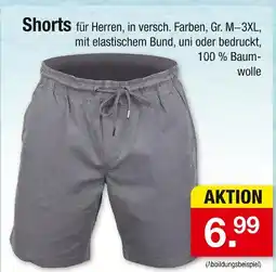Zimmermann Shorts Angebot