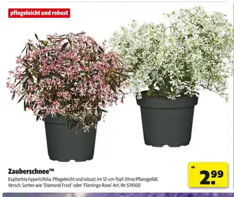 Hagebau Zauberschnee Angebot