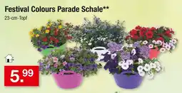 Zimmermann Festival colours parade schale Angebot