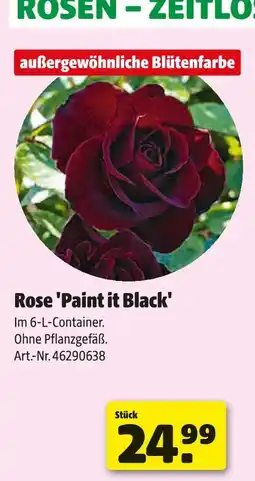 Hagebau Rose 'paint it black' Angebot