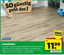 Hagebau Renovo laminatboden Angebot