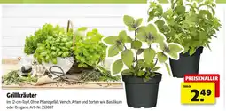 Hagebau Grillkräuter Angebot
