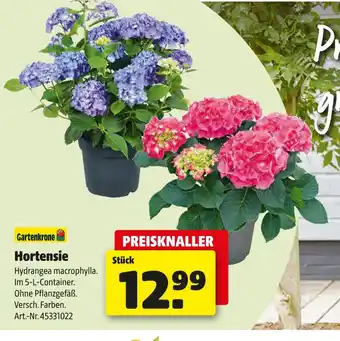 Hagebau Gartenkrone hortensie Angebot