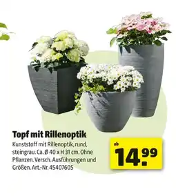 Hagebau Topf mit rillenoptik Angebot