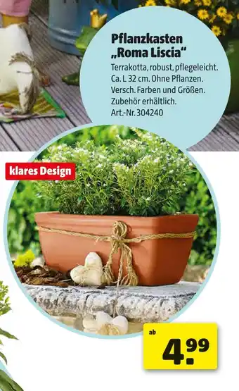 Hagebau Pflanzkasten roma liscia Angebot