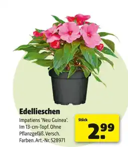 Hagebau Edellieschen Angebot
