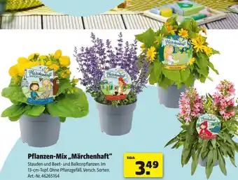Hagebau Pflanzen-mix „märchenhaft“ Angebot