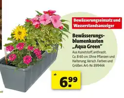 Hagebau Bewässerungsblumenkasten „aqua green“ Angebot