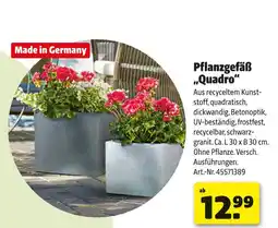 Hagebau Pflanzgefäß quadro Angebot