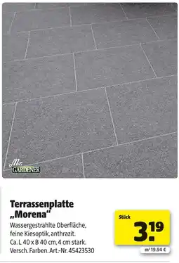 Hagebau Mr. gardener terrassenplatte morena Angebot