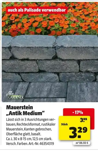 Hagebau Mr. gardener mauerstein „antik medium“ Angebot