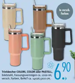 Trends Möbel Trinkbecher colori, color oder pastell Angebot